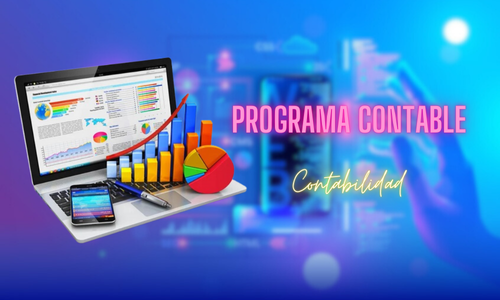 Programa contable